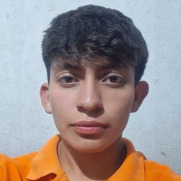 User Image