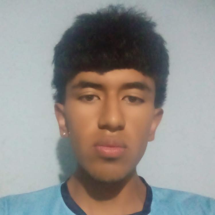 User Image