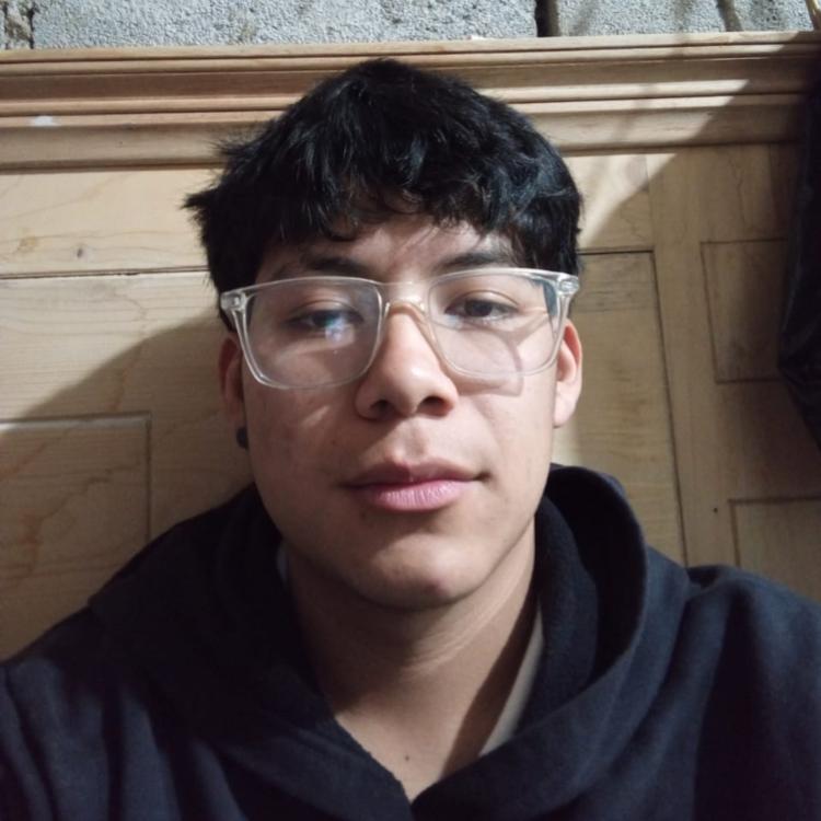User Image